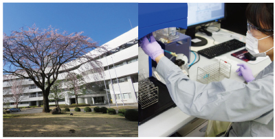 Mbl Offices Facilities Group Companies Company Profile Mbl Medical Biological Laboratories Co Ltd