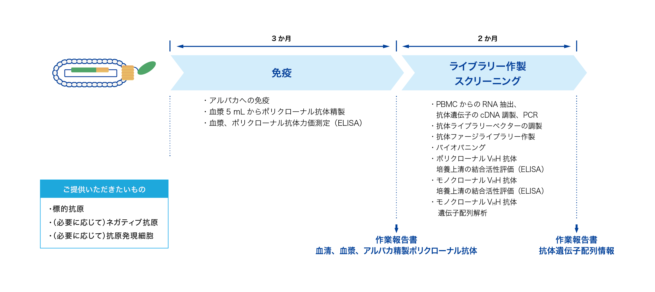 サービスフロー